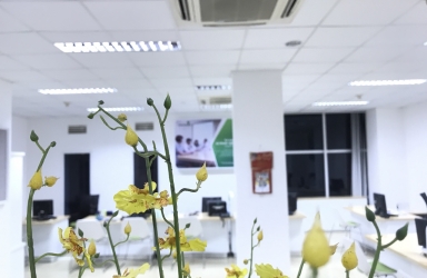 PGD Quang Trung - VCB Đăk Lăk